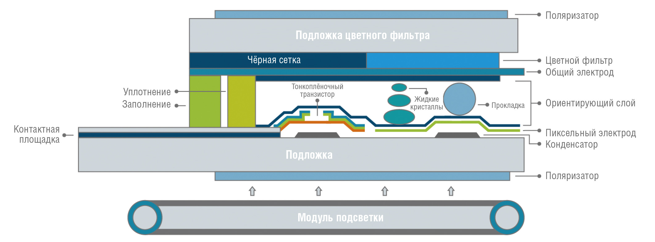 Рис. 1. Сечение TFT-дисплея