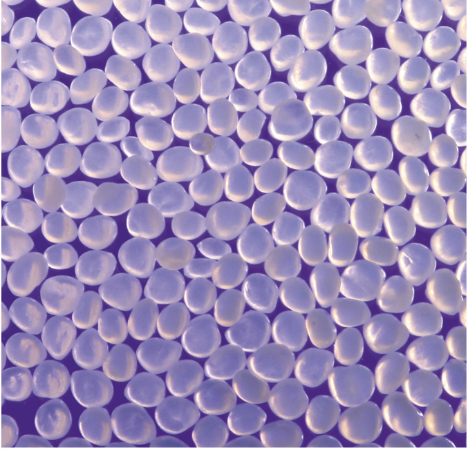 Рис. 2. Продукт полиамид-6