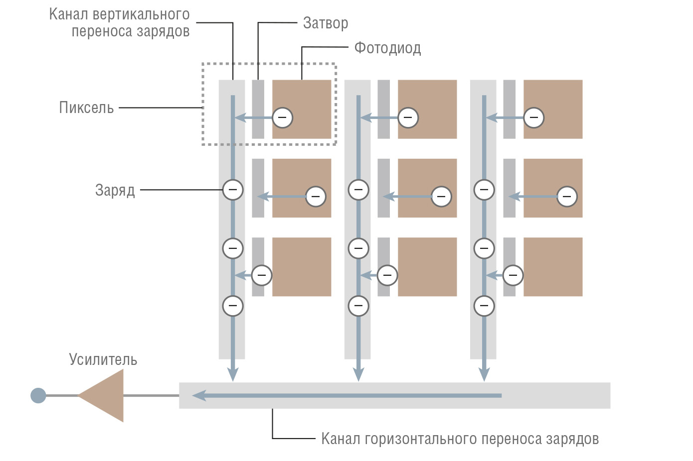 Рис. 1. Структура CCD-матрицы Иллюстрация с сайта micromed-spb.ru