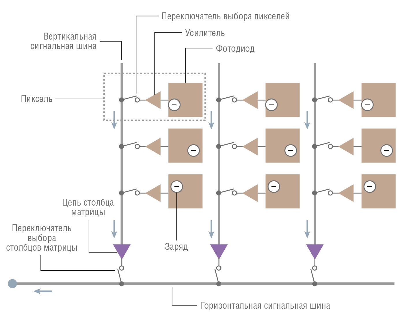 Рис. 2. Структура CMOS-матрицы Иллюстрация с сайта micromed-spb.ru