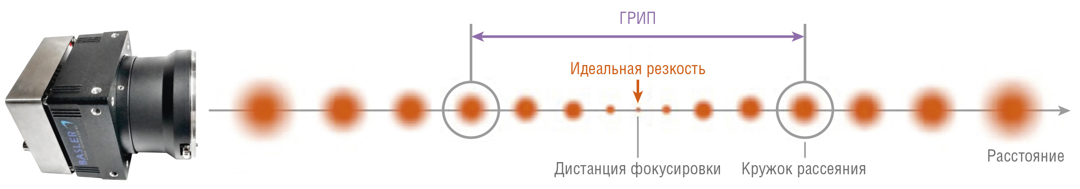 Рис. 3. Изображение границ глубины резкости Иллюстрация с сайта prophotos.ru