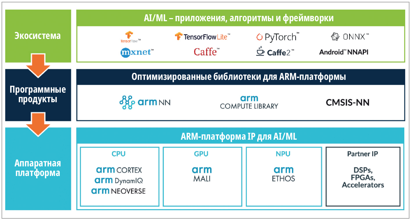 Рис. 2. Процессоры ARM Cortex, оптимизированные для задач с ИИ