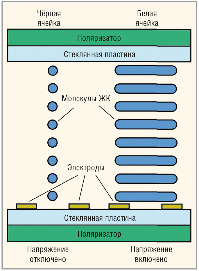 Современные ЖК-матрицы: технология IPS