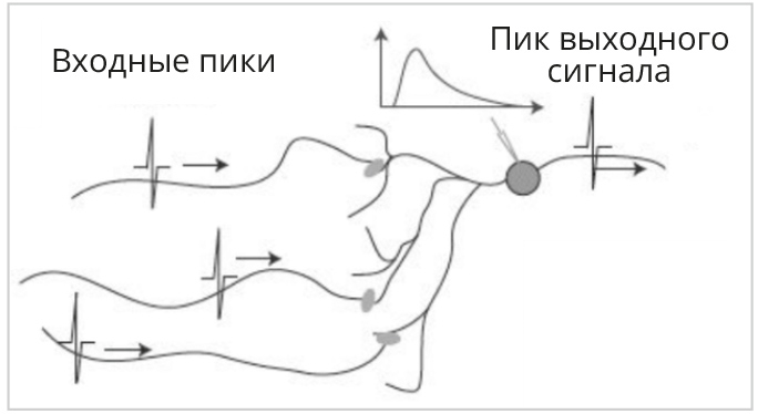 Рис. 8. Структура нейроморфного процессора