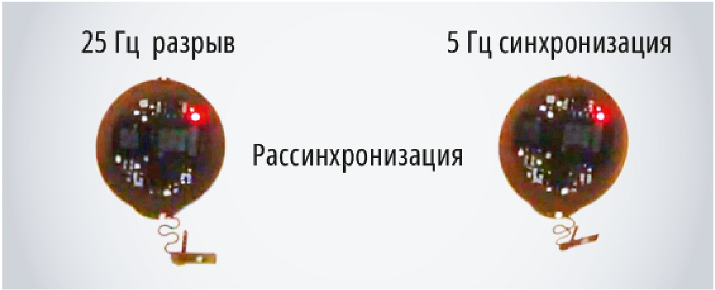 Рис. 3. Воздействие световыми импульсами с разными частотами – 5 Гц и 25 Гц