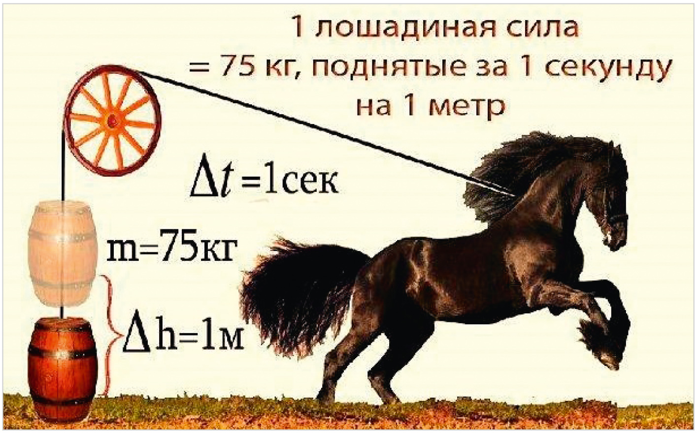 Сколько в человеке лошадиных