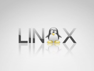 О реальной стоимости «доморощенной» Linux
