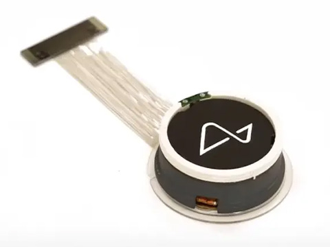 Neuralink планирует клинические испытания Blindsight в 2026 году: имплантат может вернуть зрение даже слепым от рождения